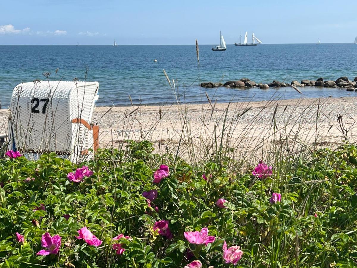 Seelund - Meeresrauschen Lauschen - Ruhiges Sonniges Apartment Mit Garten Und Terrasse Nahe Strand Und Ostsee Schönhagen 외부 사진